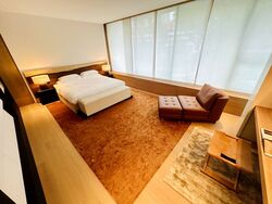 21 Anderson (D10), Condominium #526750401